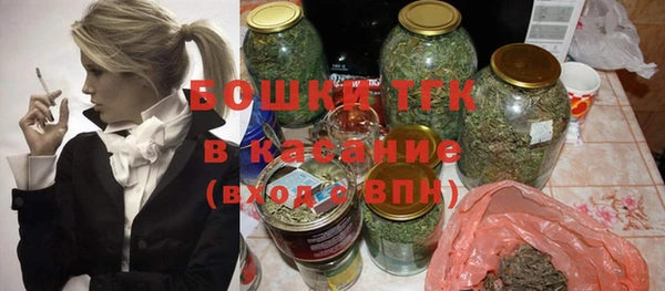 шишки Бородино